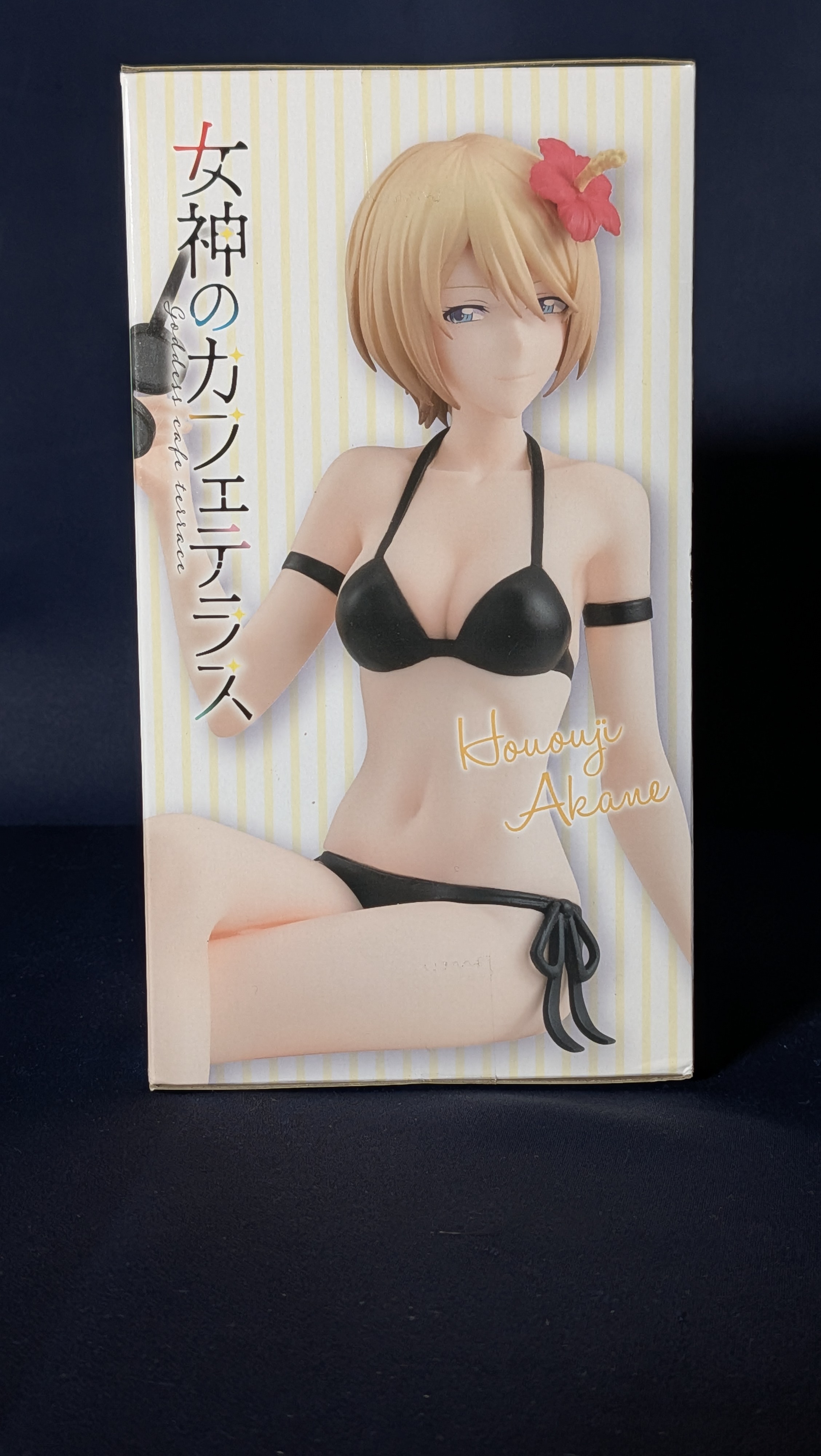 Figura Anime Akane Hououji Furyu Noodle Stopper Original